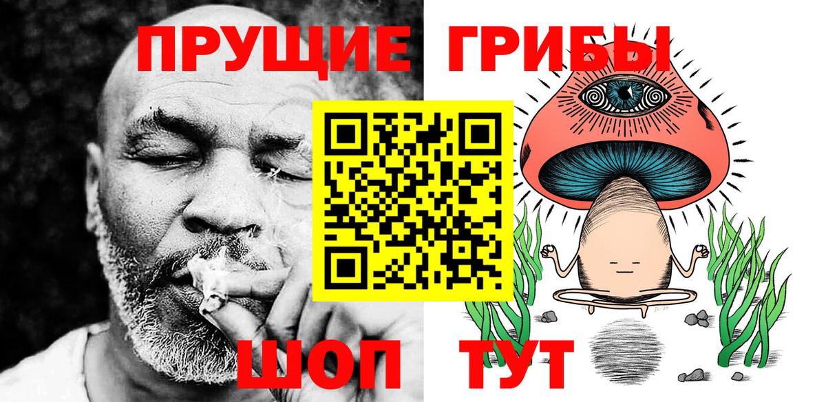 Псилоцибиновые грибы GOLDEN TEACHER Белгород
