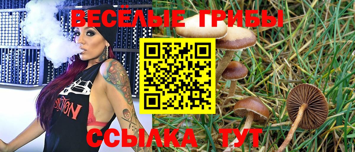 Белгород  Псилоцибиновые грибы Magic Shrooms  Вход с VPN 