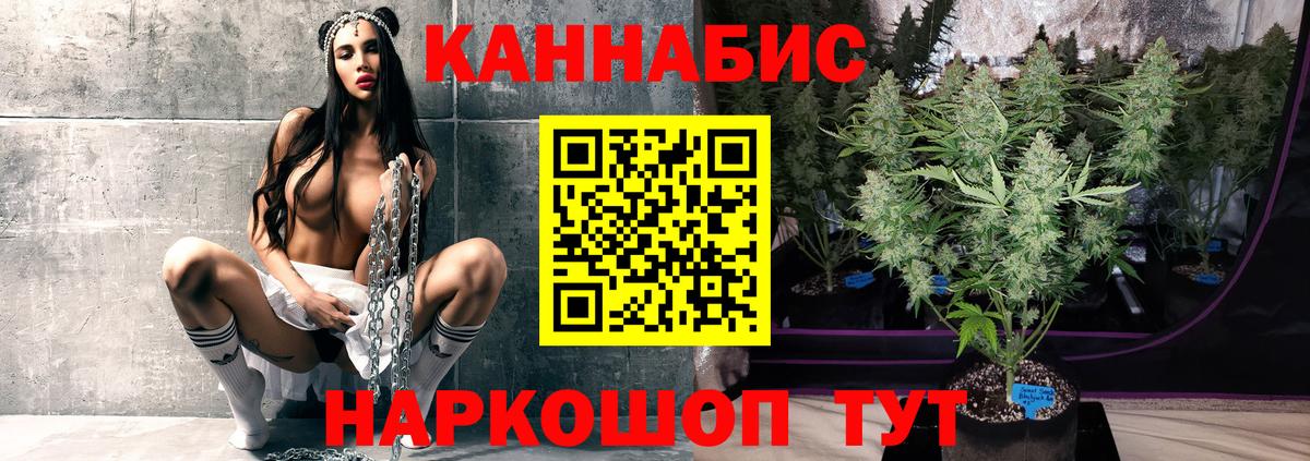 Бошки Шишки марихуана  Канабис Bruce Banner  Вход с VPN  Белгород  Шишки марихуана индика  Шишки марихуана семена 